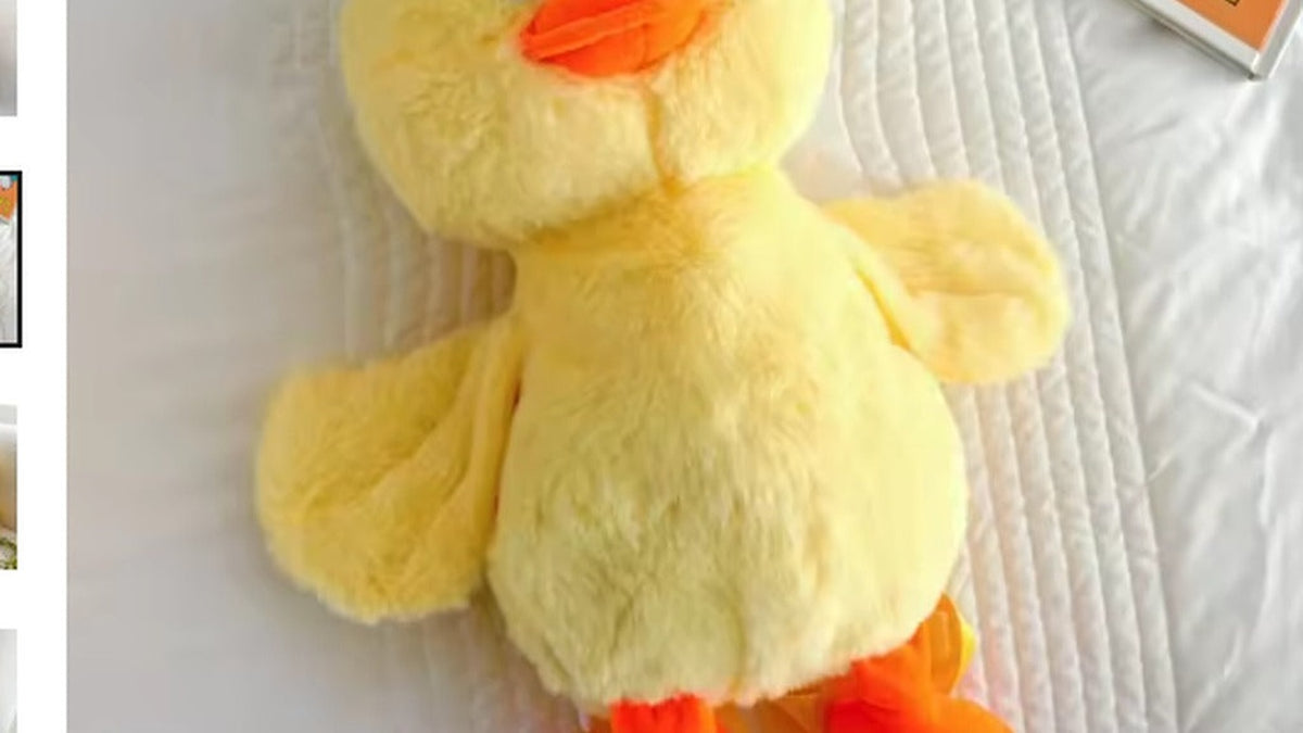 Cozy aesthetic bedroom banner with baby duckling